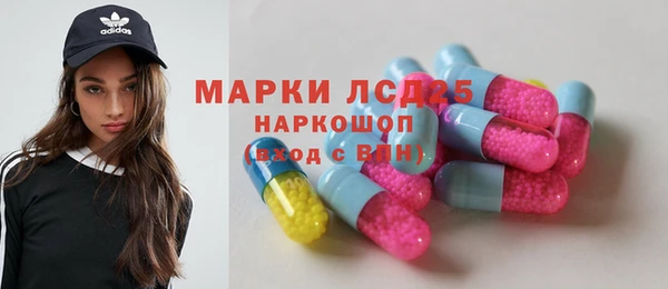 шишки Пестово
