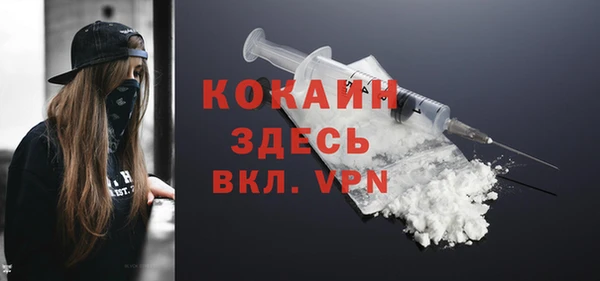 шишки Пестово