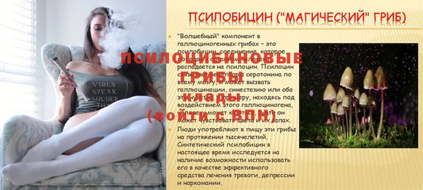 прущая мука Беломорск