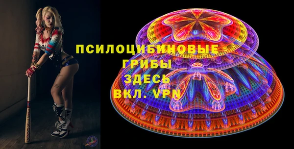 марки lsd Богданович