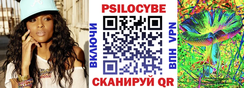 дарнет шоп Михайлов Псилоцибиновые грибы Psilocybe
